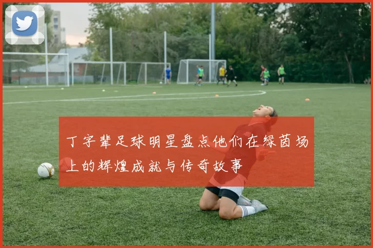 丁字辈足球明星盘点他们在绿茵场上的辉煌成就与传奇故事