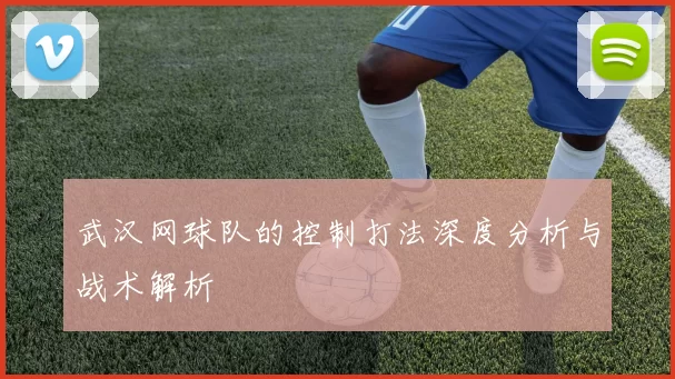 武汉网球队的控制打法深度分析与战术解析