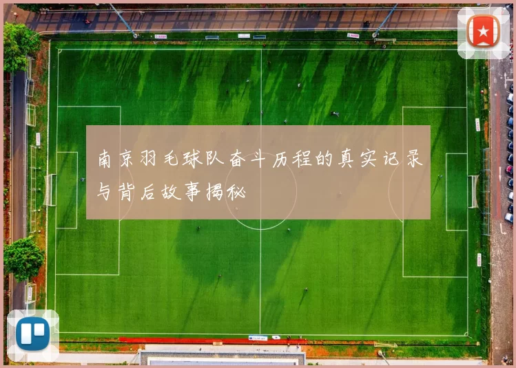 南京羽毛球队奋斗历程的真实记录与背后故事揭秘