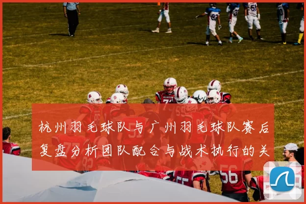 杭州羽毛球队与广州羽毛球队赛后复盘分析团队配合与战术执行的关键因素