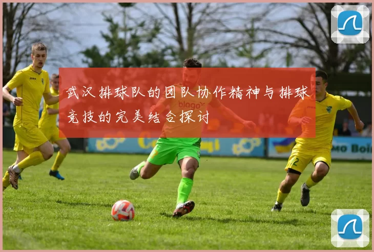 武汉排球队的团队协作精神与排球竞技的完美结合探讨