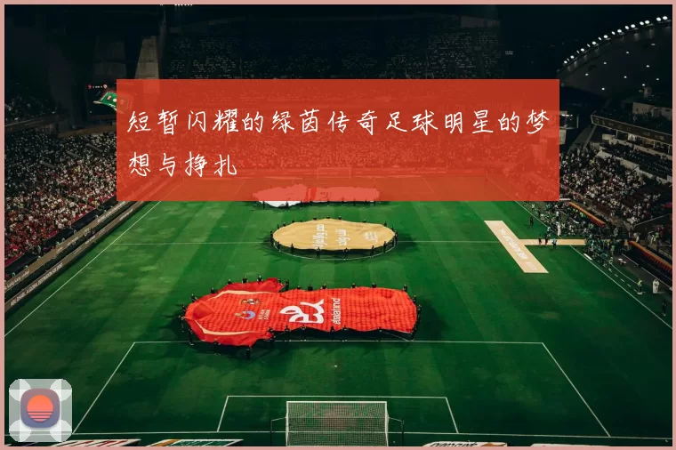 短暂闪耀的绿茵传奇足球明星的梦想与挣扎